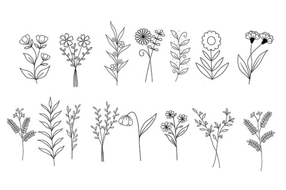Download Floral Bundle - Floral bundle Collection
