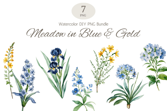 Download Blue Botanical Watercolor Floral Bundle - Floral bundle Collection