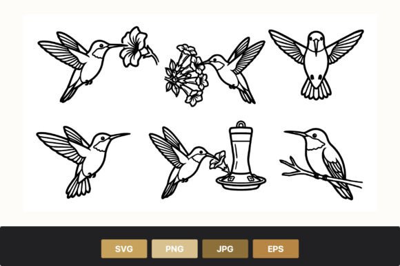 Download Hummingbird Line Art Floral Decor - Floral decor Collection