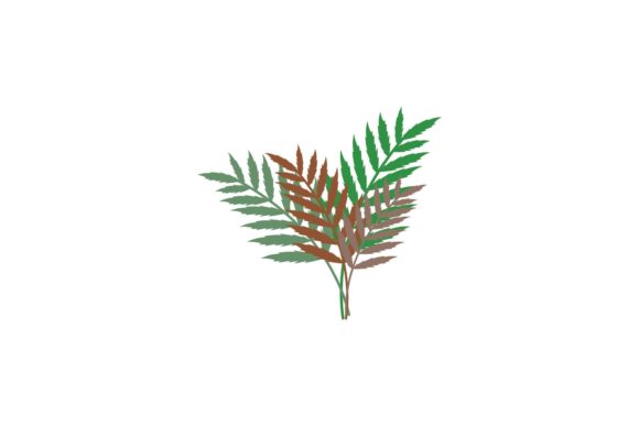 Download Beauty Floral Decorations - Floral decor Collection
