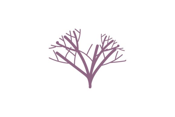 Download Beauty Floral Decorations - Floral decor Collection